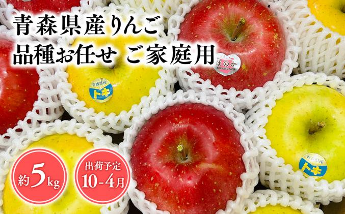 青森県平川市のふるさと納税 品種お任せ　【訳あり】家庭用　旬のりんご詰め合わせ5㎏