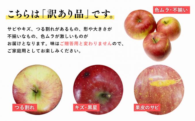 青森県平川市のふるさと納税 品種お任せ　【訳あり】家庭用　旬のりんご詰め合わせ5㎏