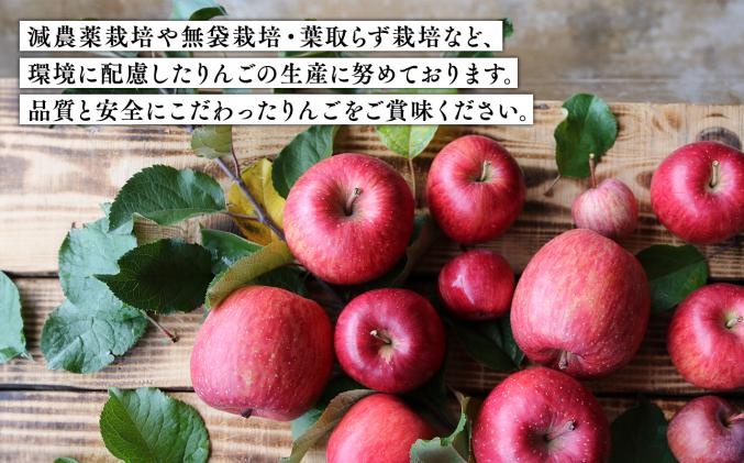 青森県平川市のふるさと納税 品種お任せ　【訳あり】家庭用　旬のりんご詰め合わせ5㎏