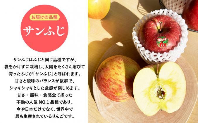 青森県平川市のふるさと納税 2025年産11月～4月発送　贈答用葉とらずサンふじ3kg　【そと川りんご園・11月・12月・1月・2月・3月・4月・青森県産・平川市・りんご・葉とらずサンふじ・3kg・贈答用】