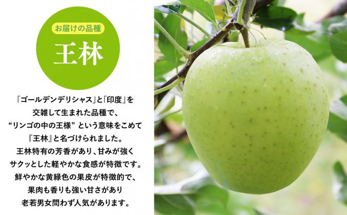 2025年産 11月～1月発送 【訳あり】家庭用王林3kg 【そと川りんご園