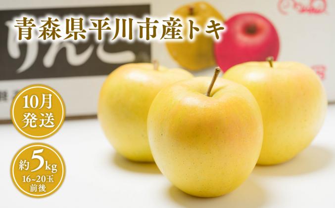 10月 トキ約5kg 【JA津軽みらい・平川市産・青森りんご】 / 青森県平川