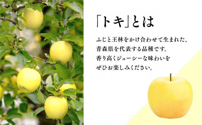 10月 トキ約5kg 【JA津軽みらい・平川市産・青森りんご】 / 青森県平川