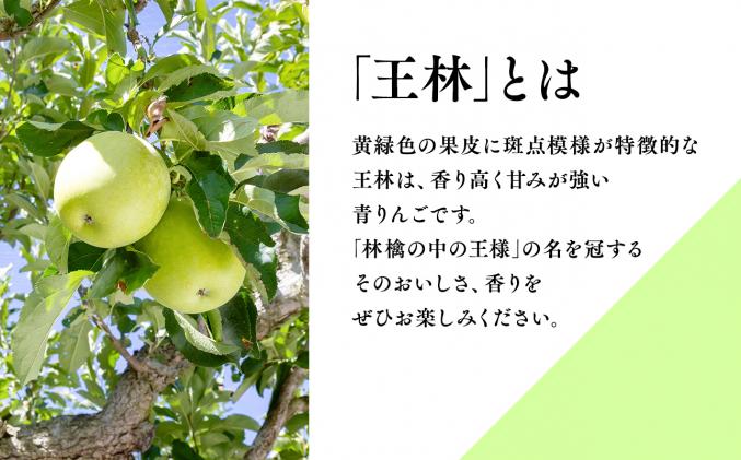 年明け サンふじ×王林約5㎏ 【JA津軽みらい・平川市産・青森りんご・1