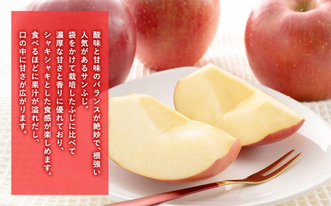 年明け サンふじ×王林約5㎏ 【JA津軽みらい・平川市産・青森りんご・1
