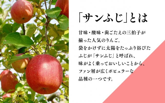 青森県平川市のふるさと納税 年内 蜜入り 糖度選別サンふじ約3㎏ 【JA津軽みらい・平川市産・青森りんご・12月】