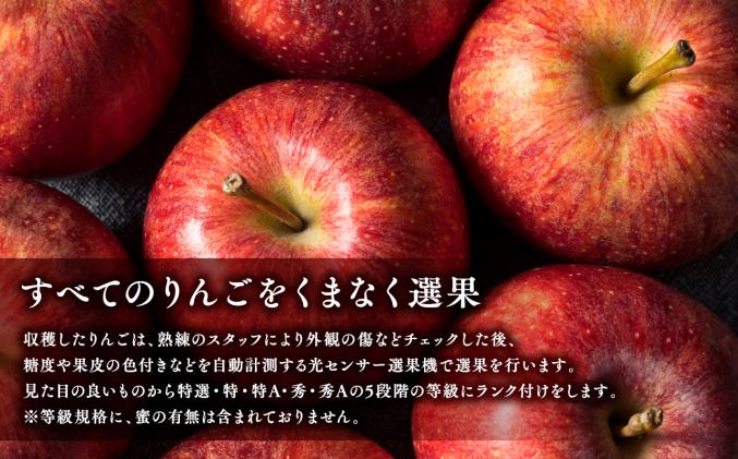 青森県平川市のふるさと納税 年内 蜜入り 糖度選別サンふじ約3㎏ 【JA津軽みらい・平川市産・青森りんご・12月】