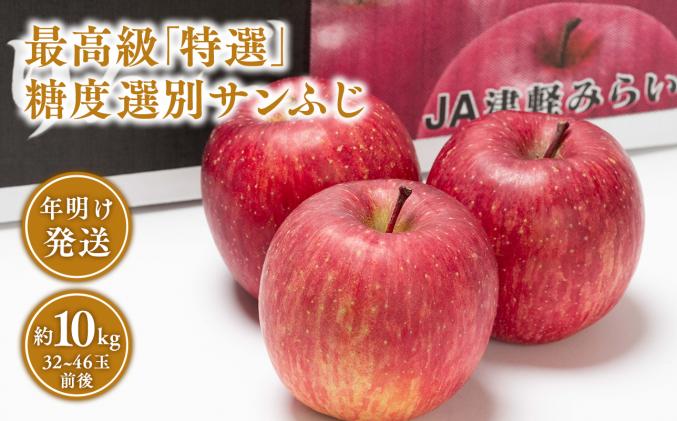 年明け 最高級「特選」 糖度選別サンふじ約10kg 【JA津軽みらい・平川