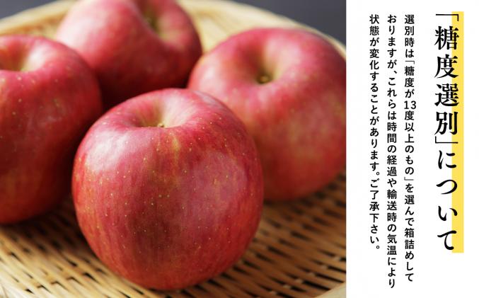 年明け 最高級「特選」 糖度選別サンふじ約10kg 【JA津軽みらい・平川