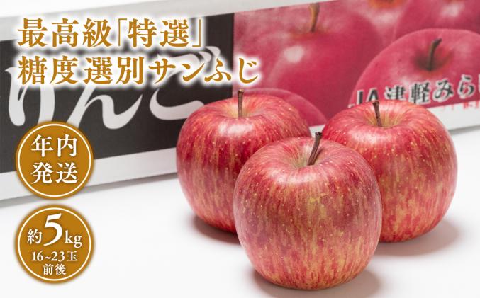 年内 最高級「特選」 糖度選別サンふじ 約5kg 【JA津軽みらい・平川市