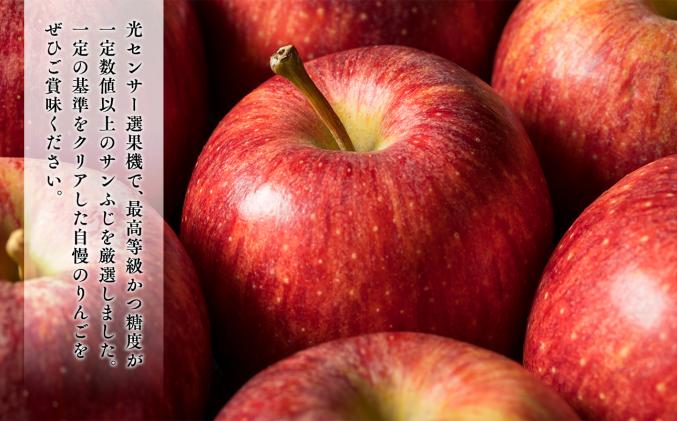 年明け 最高級「特選」糖度選別サンふじ 約5kg 【JA津軽みらい・平川市