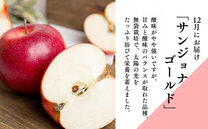 青森県平川市のふるさと納税 【定期便3回】特Aりんご定期便　ぐんま名月・サンジョナゴールド・王林(各約2kg)全3回【青森りんご・平川市・11月・12月・1月】