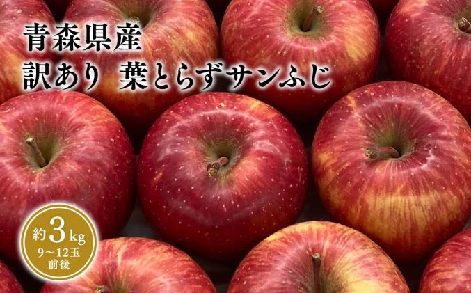 青森県平川市のふるさと納税 1～3月 訳あり 葉とらず サンふじ 家庭用 約3kg 【岩渕農園・平川市産・青森りんご・1月・2月・3月】