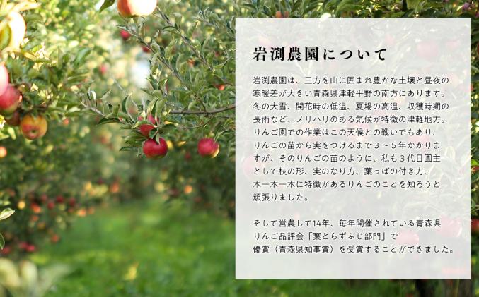 青森県平川市のふるさと納税 1～3月 訳あり 葉とらず サンふじ 家庭用 約3kg 【岩渕農園・平川市産・青森りんご・1月・2月・3月】