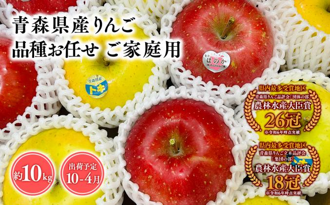 2026年産品種お任せ　【訳あり】家庭用　旬のりんご詰め合わせ10㎏