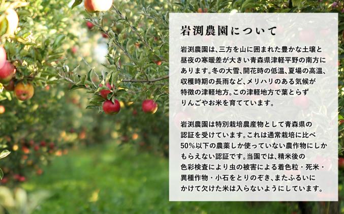 青森県平川市のふるさと納税 【令和6年産　新米:10月～出荷開始】セゾン限定品!　岩渕農園 まっしぐら(精米)10kg(5kg×2袋)【青森県平川市産】