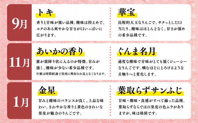 青森県平川市のふるさと納税 【3月発送開始】隔月配送　定期便6回　訳あり　家庭用　甚八りんご　3kg　【マルジンサンアップル　3月　5月　7月　9月　11月　1月　青森県産　平川市　りんご　3kg　訳あり　家庭用】