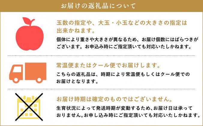 青森県平川市のふるさと納税 【3月発送開始】隔月配送　定期便6回　訳あり　家庭用　甚八りんご　3kg　【マルジンサンアップル　3月　5月　7月　9月　11月　1月　青森県産　平川市　りんご　3kg　訳あり　家庭用】