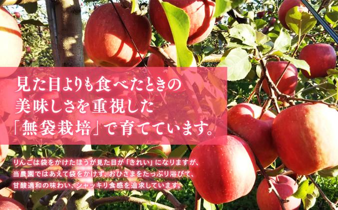 11～12月 贈答用 キラ農法 特選クラス 完熟りんご ぐんま名月約3kg