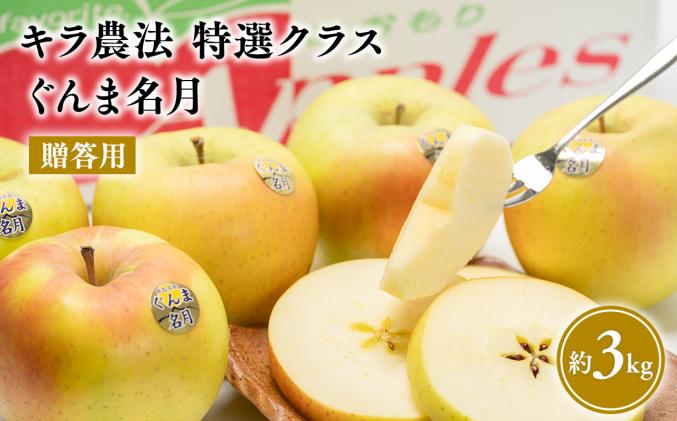 11～12月 贈答用 キラ農法 特選クラス 完熟りんご ぐんま名月約3kg