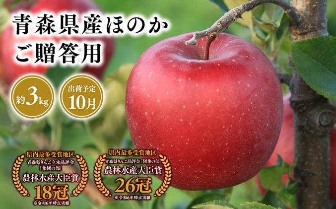 2025年産10月発送 贈答用ほのか3kg 【そと川りんご園・9月・青森県産