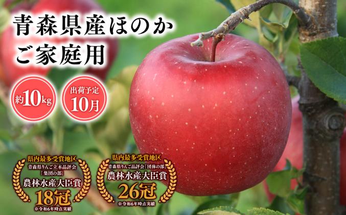 りんご 2025年産10月発送 【訳あり】家庭用ほのか10kg 【そと川りんご園・10月