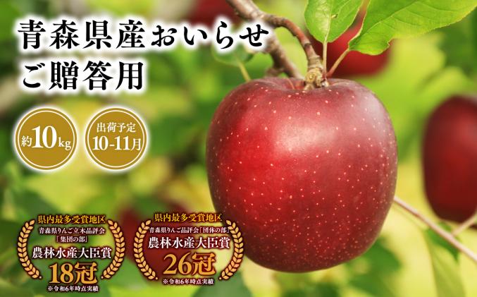 2026年産10月・11月発送　贈答用おいらせ10kg　【そと川りんご園・10月・11月・青森県産・平川市・りんご・おいらせ・10kg・贈答用】