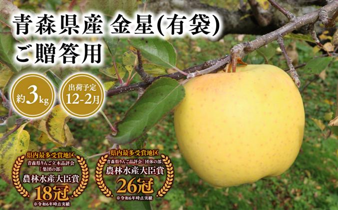 12月～2月発送 贈答用金星(有袋)3kg 【そと川りんご園・11月・12月・1