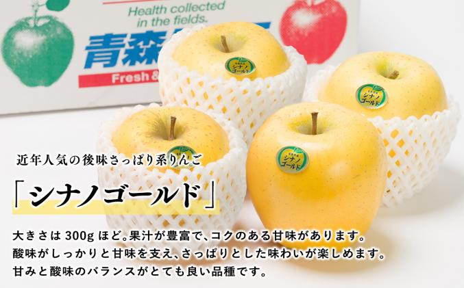 青森県平川市のふるさと納税 【2025年12月発送】 吹田りんご園 山の完熟サンふじ・シナノゴールド約5kg 【吹田りんご園・青森りんご・平川市広船産・12月】