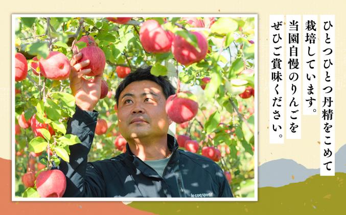 青森県平川市のふるさと納税 【2025年12月発送】 吹田りんご園 山の完熟サンふじ・シナノゴールド約5kg 【吹田りんご園・青森りんご・平川市広船産・12月】