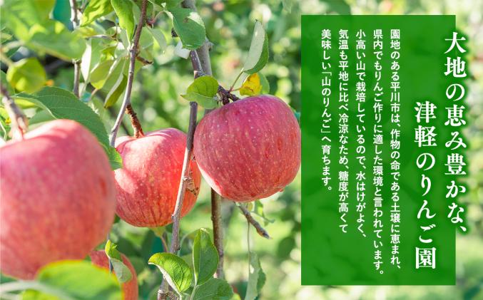 青森県平川市のふるさと納税 【2025年12月発送】 吹田りんご園 山の完熟サンふじ・シナノゴールド約5kg 【吹田りんご園・青森りんご・平川市広船産・12月】