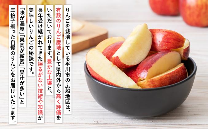 青森県平川市のふるさと納税 【2025年12月発送】 吹田りんご園 山の完熟サンふじ・シナノゴールド約5kg 【吹田りんご園・青森りんご・平川市広船産・12月】