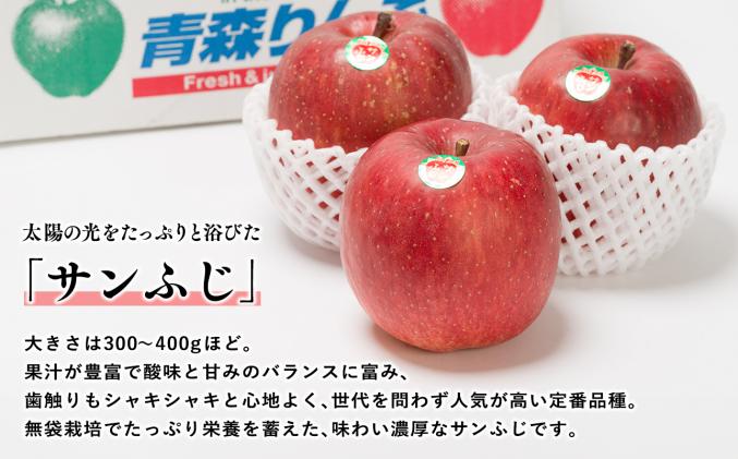 青森県平川市のふるさと納税 【2025年12月発送】 吹田りんご園 山の完熟サンふじ・シナノゴールド約5kg 【吹田りんご園・青森りんご・平川市広船産・12月】
