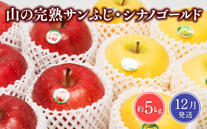 青森県平川市のふるさと納税 【2025年12月発送】 吹田りんご園 山の完熟サンふじ・シナノゴールド約5kg 【吹田りんご園・青森りんご・平川市広船産・12月】