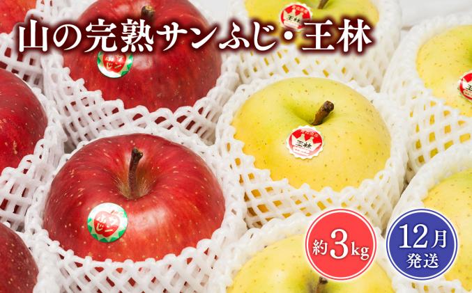 [2025年12月発送] 吹田りんご園 山の完熟サンふじ・王林合計約3kg[吹田りんご園・青森りんご・平川市広船産・12月]