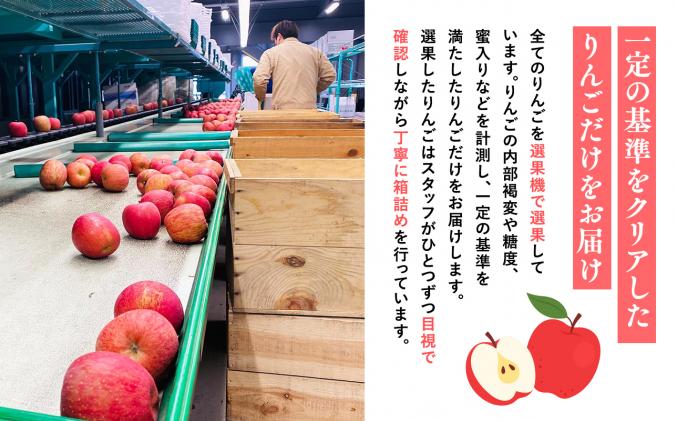 青森県平川市のふるさと納税 11月発送 【特選】サンふじ5㎏【りんご・青森・平川・特選・宮川商店・11月】