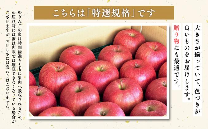 青森県平川市のふるさと納税 11月発送 【特選】サンふじ5㎏【りんご・青森・平川・特選・宮川商店・11月】