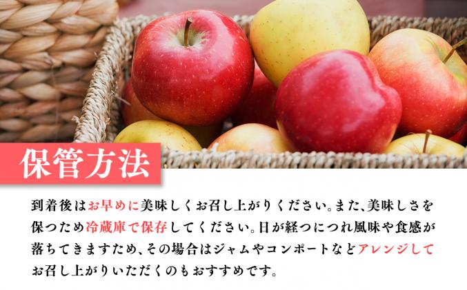 青森県平川市のふるさと納税 11月発送 【特選】サンふじ5㎏【りんご・青森・平川・特選・宮川商店・11月】