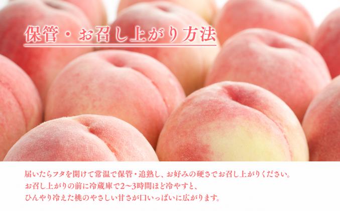 青森県平川市のふるさと納税 【2026年産 先行予約】目玉品!!平川市産白桃 品種お任せ(あかつき/まどか/伊達白桃) 約2kg(6-8玉)【今井農園】[hi-0064-003]