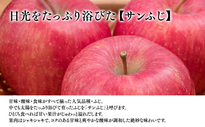 青森県平川市のふるさと納税 1月 発送【訳あり】家庭用サンふじ約2㎏【原田青果】