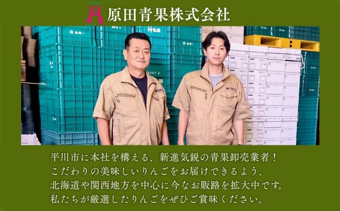 青森県平川市のふるさと納税 1月 発送【訳あり】家庭用サンふじ約2㎏【原田青果】
