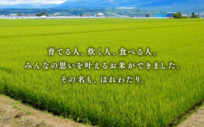 青森県平川市のふるさと納税 令和7年産 はれわたり5kg