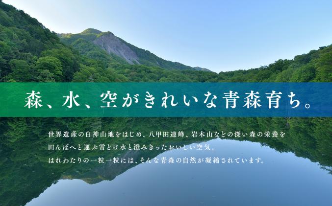 青森県平川市のふるさと納税 令和7年産 はれわたり5kg