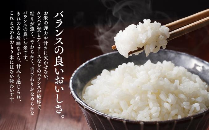 青森県平川市のふるさと納税 令和7年産 はれわたり5kg