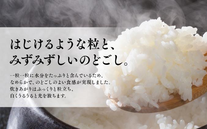 青森県平川市のふるさと納税 令和7年産 はれわたり5kg