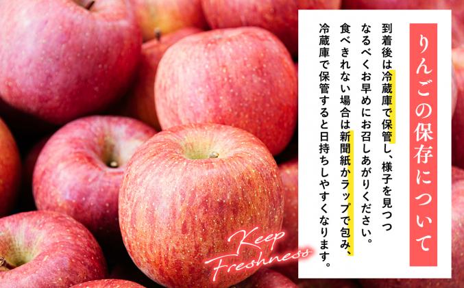 青森県平川市のふるさと納税 4月 訳ありCA貯蔵 サンふじ 約10kg