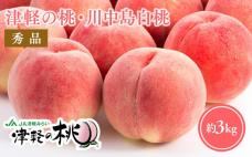 目玉品!!【8月下旬～9月中旬発送予定】津