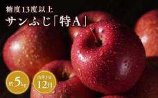 12月  サンふじりんご「特A」約5kg 