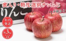 年内 蜜入り 糖度選別サンふじ約3㎏ 【J