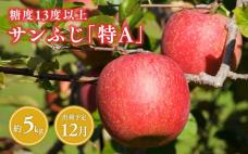 12月  サンふじりんご「特A」約5kg 